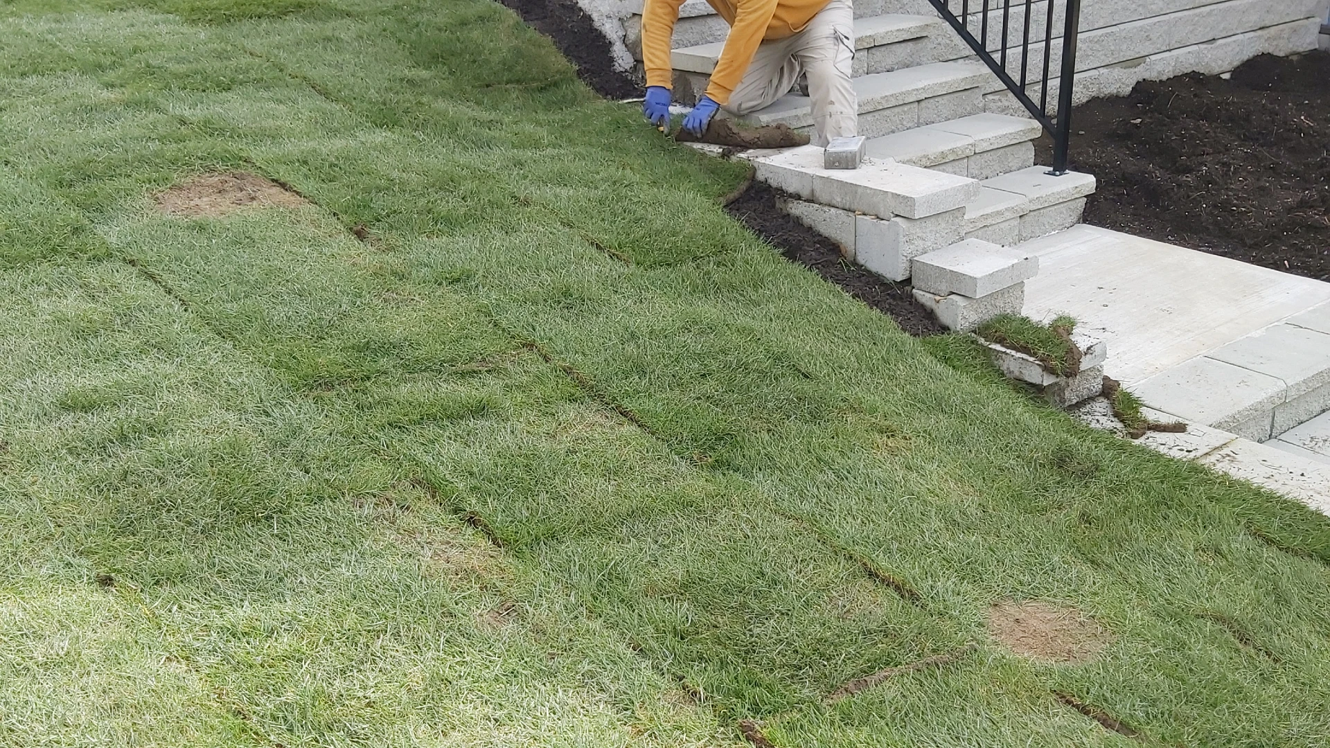 yard work and grass planting Vancouver BC